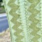 5076527_OLIVE MINT PUFFER-UP W_ ARM TACKS_(FW22)_C