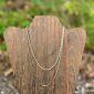 MN-220052-LTAG_FIGARO AND SNAKE LINK NECKLACE DUO_(FW24)_A