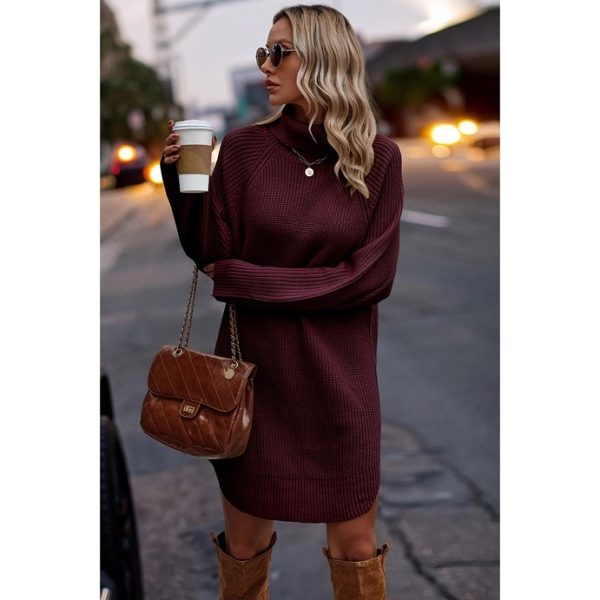 SF0010 TO SF0012_S TO L_WINE THICK KNIT ROLL NECK SOLID LOOSE FIT SWEATER DRESS_(SS24_CB)_B SF0010 TO SF0012_S TO L_WINE THICK KNIT ROLL NECK SOLID LOOSE FIT SWEATER DRESS_(SS24_CB)_B